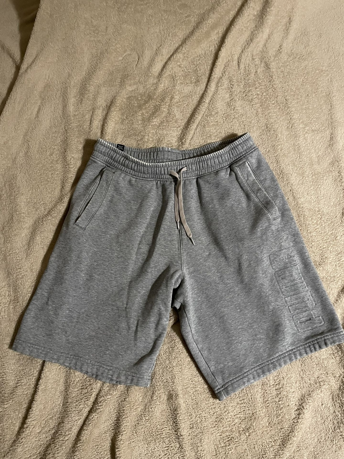 Puma Fleece Shorts (large)