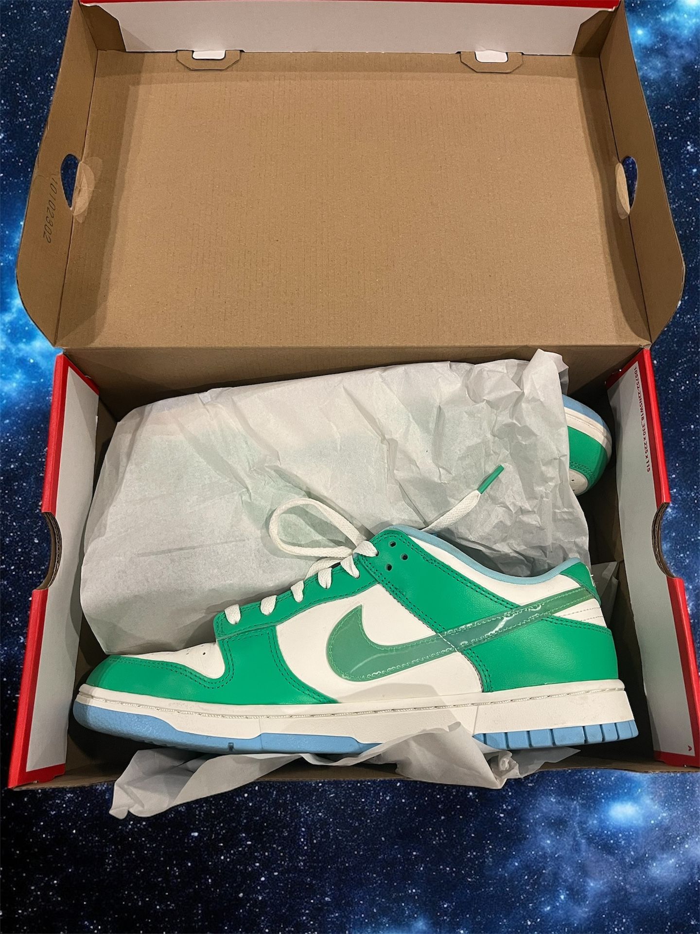 Nike Dunk Retro