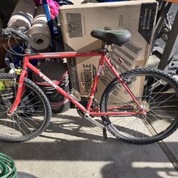 Mountain And Street Bikes 