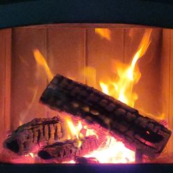 Free Hemlock Firewood Rounds Delivered Monday Only