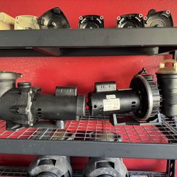 Sta Rite & Hayward Single Speed Pool Pumps 