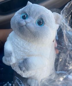 Rare viral Large squishy kitty