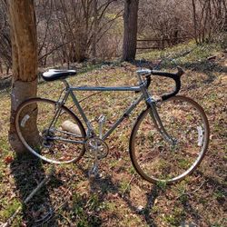 Schwinn Road Bike Large Frame Ready To Ride 