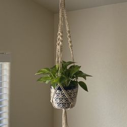 Macrame Plant Hanger 