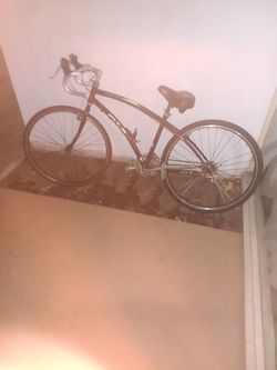 Fuji bike