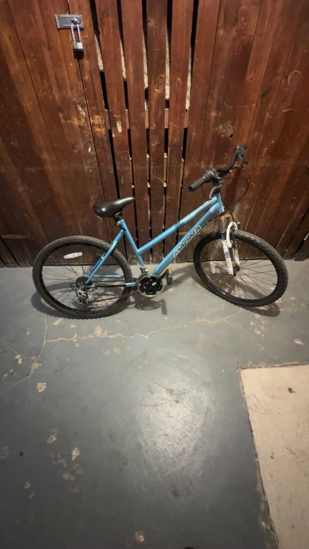 Mountain Bike