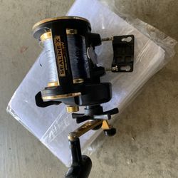 Daiwa Fishing Reel