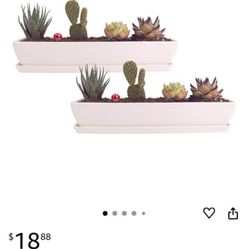 Kipokalor Long Rectangular Modern Succulent Planter Pot