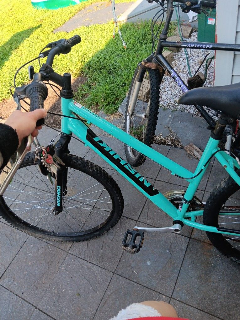 Nishiki Bike