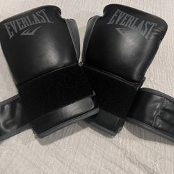 Everlast Boxing Gloves