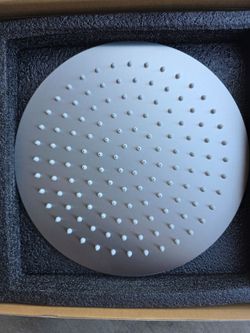 10" auleend shower head