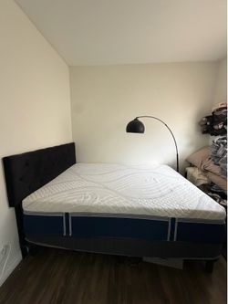Queen sizes Bed Set