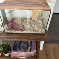 5 Gallon Fish Tank 