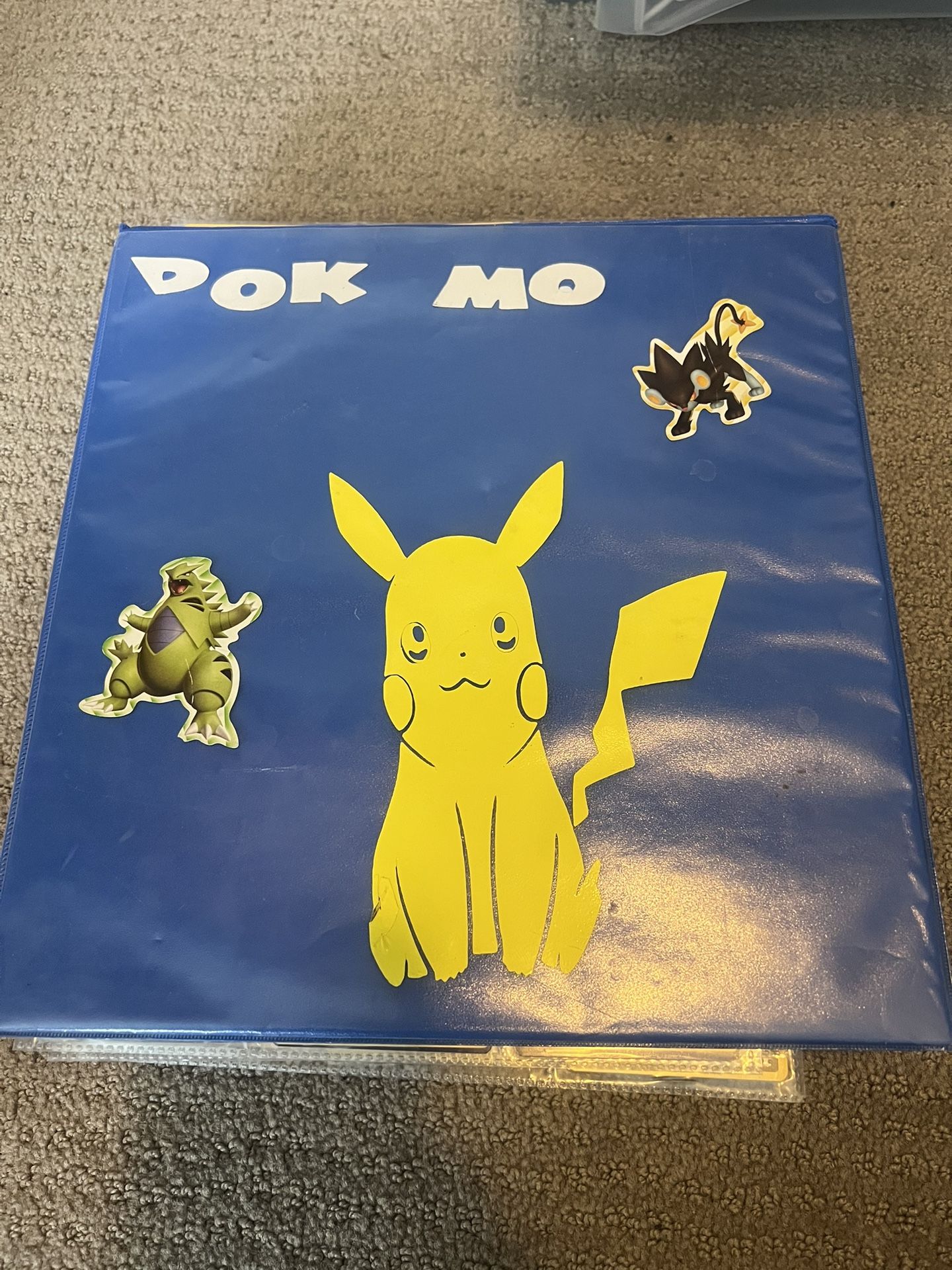 Full Pokemon Binder