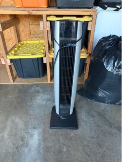 Fan