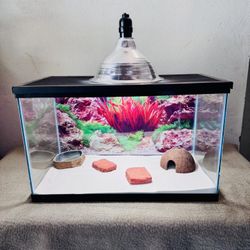 Reptile Tank 10 Gallon