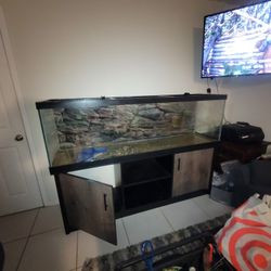 125 Gallon Aqurium With Stand 
