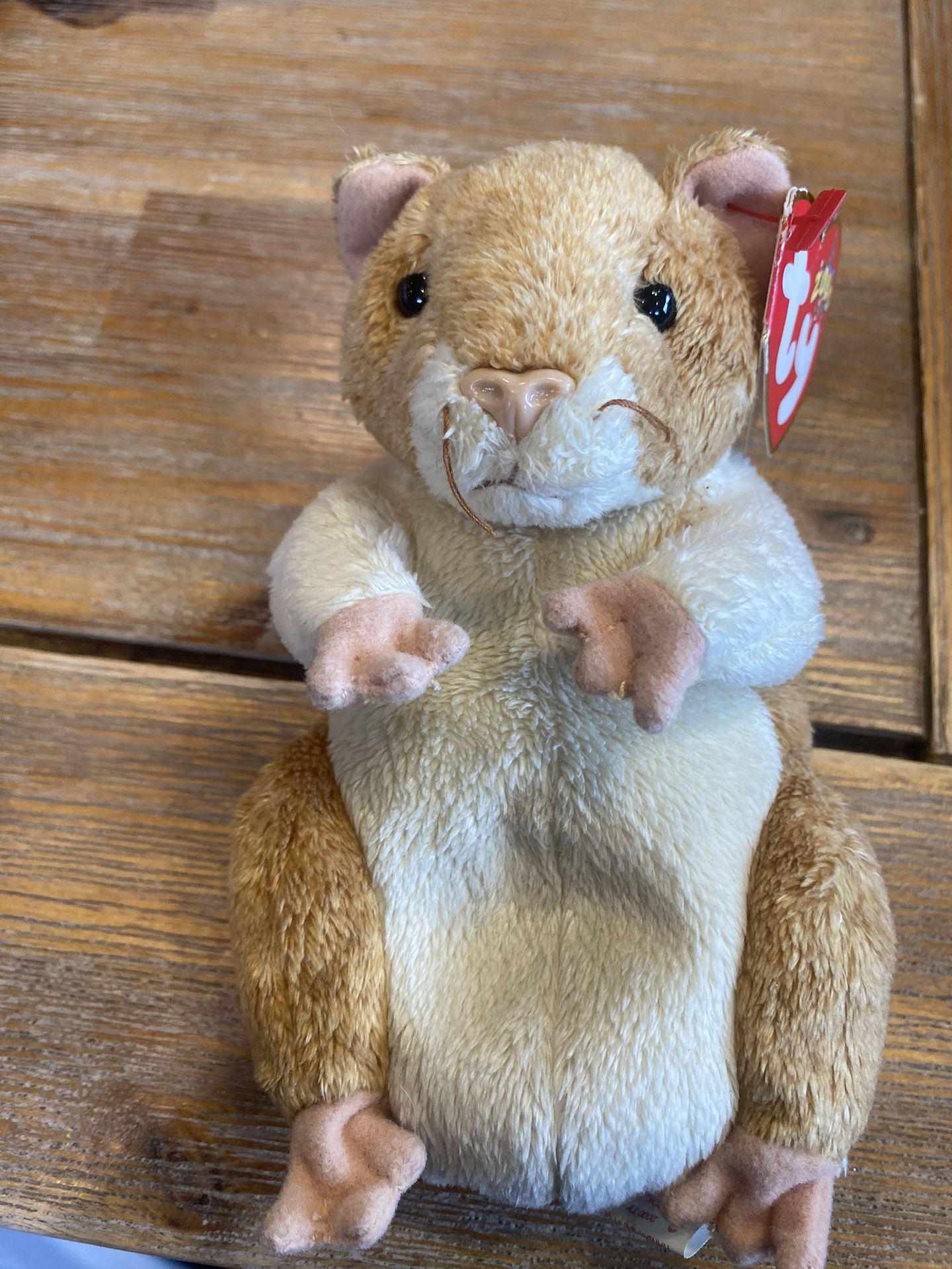 Pellet The Beanie Baby