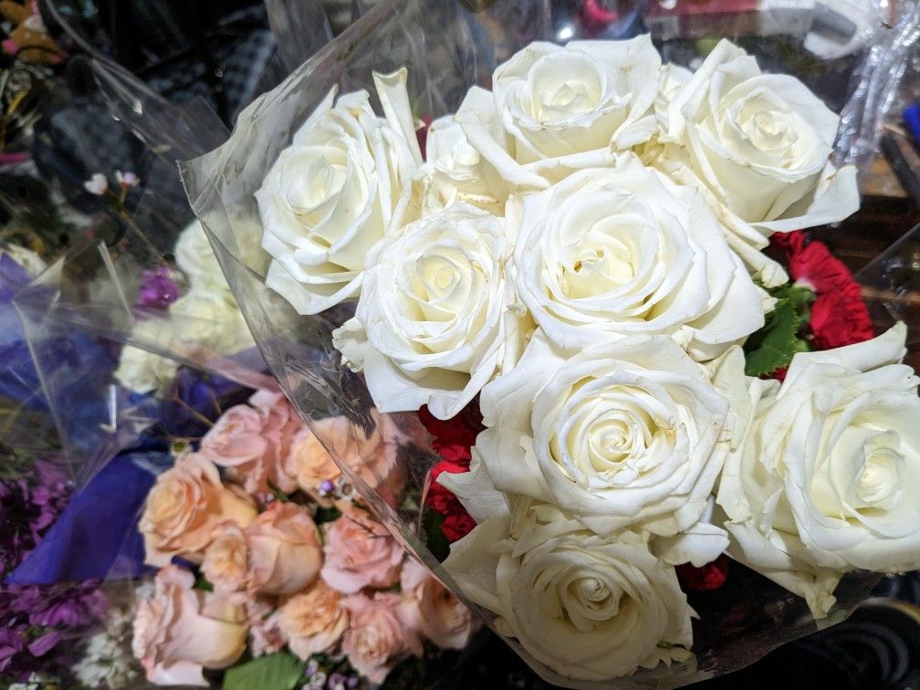 Fresh Rose Bouquets Low Prices