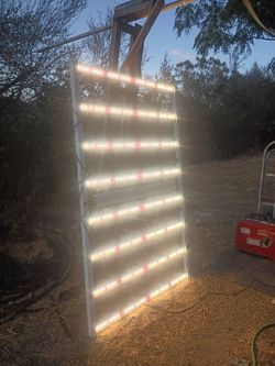 Growing lights