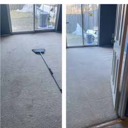 Carpet Cleaner 