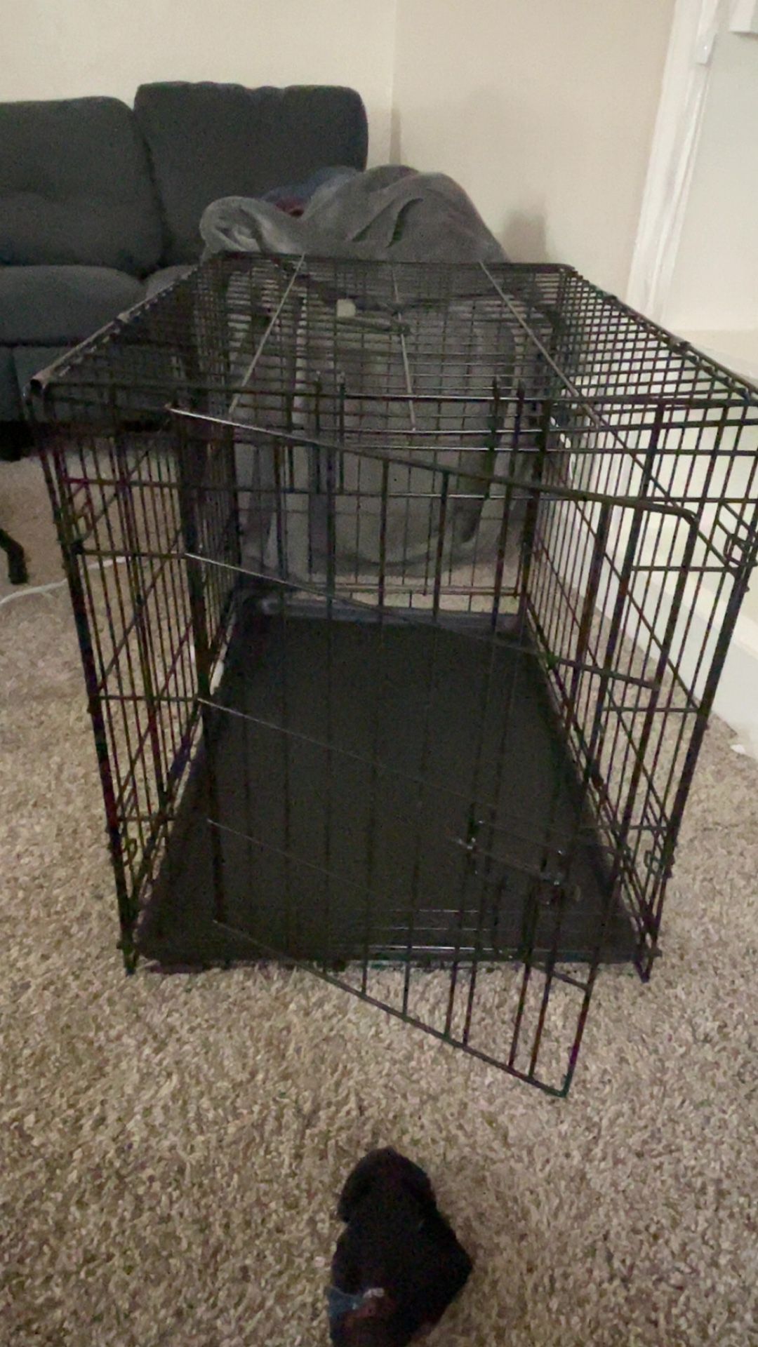 Medium dog Crate