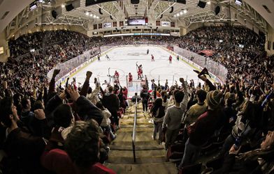 St. Cloud State Huskies at Boston College