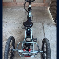 Lectric XP Electric Trike