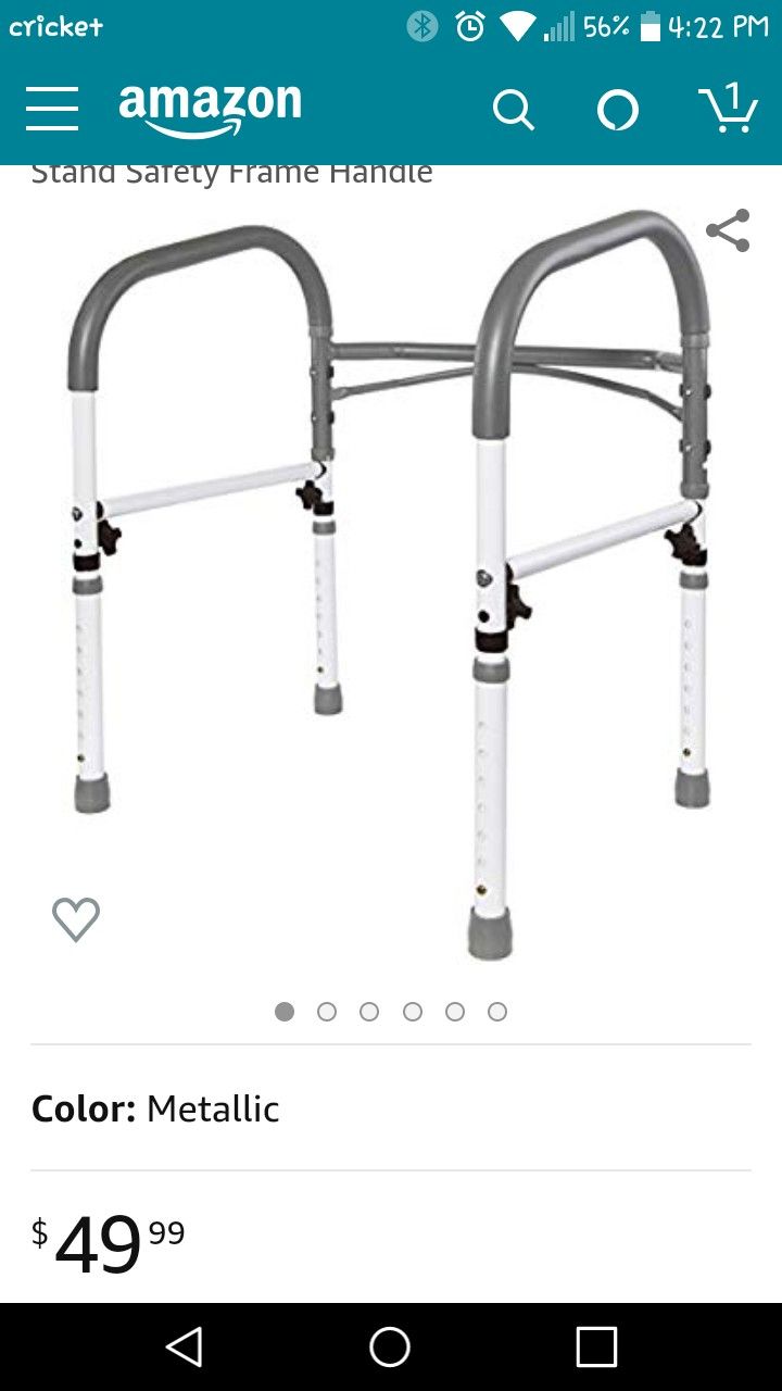 Bathroom toilet step rail