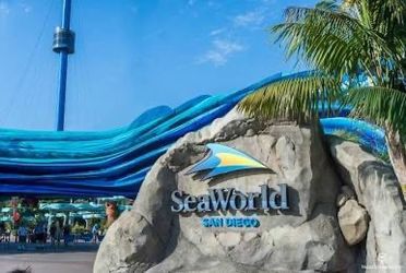 4 Sea World Passes