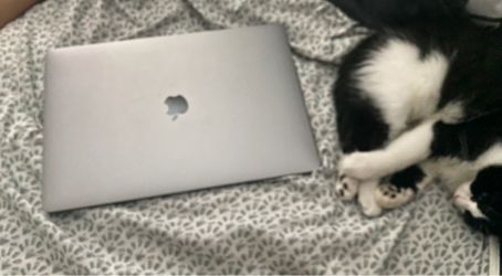 Macbook