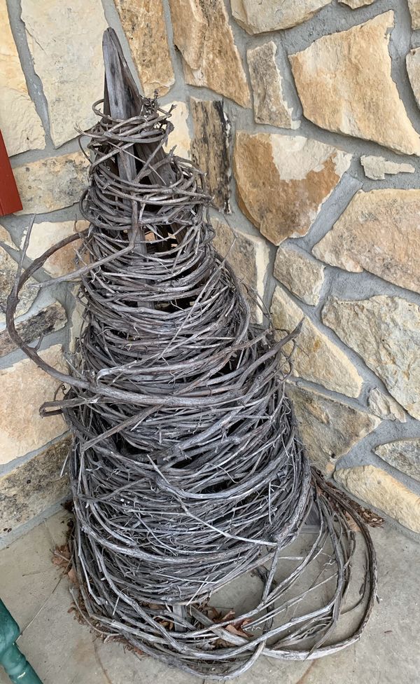 Grapevine tree about 4.5’ tall for Sale in Mount Vernon, OH OfferUp