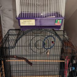Large And Small Bird Cage 