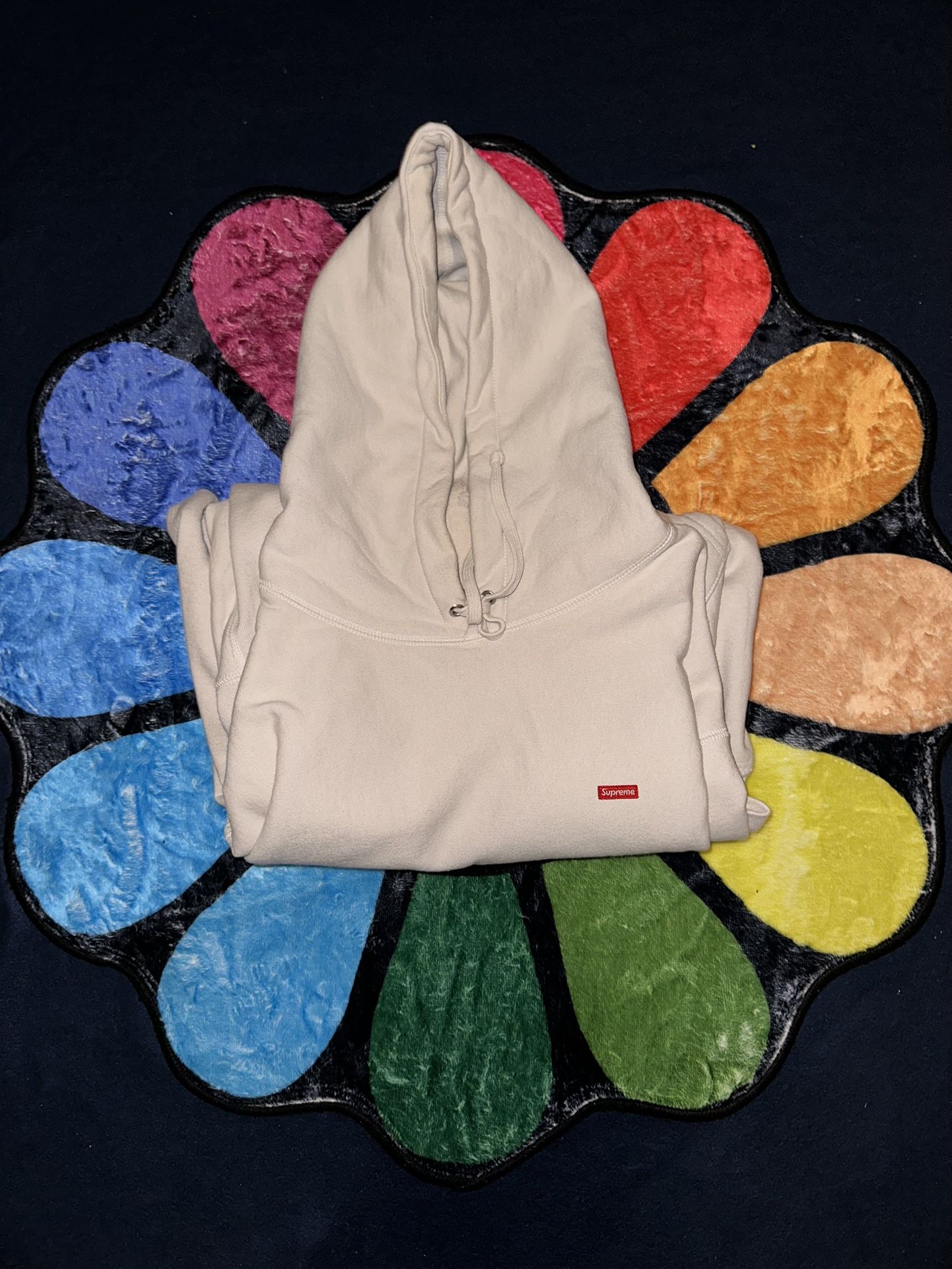 Supreme Small Box Hooded Sweatshirt (fw22)