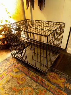 Kennel / crate for kittens or small dogs