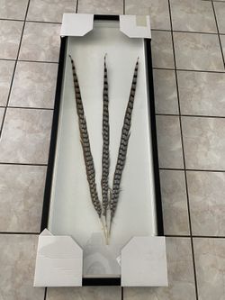 Uttermost Mikado Shadow Box