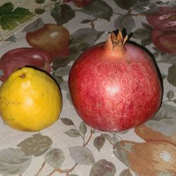 Hi everyone I have large Organic Pomegranates 5 For $10