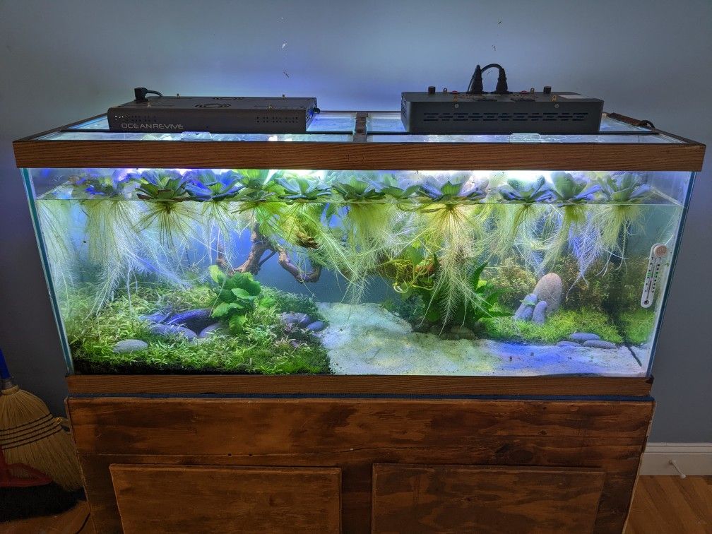 75 Gallon Aquarium / Fish Tank