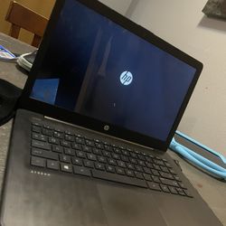 HP Laptop