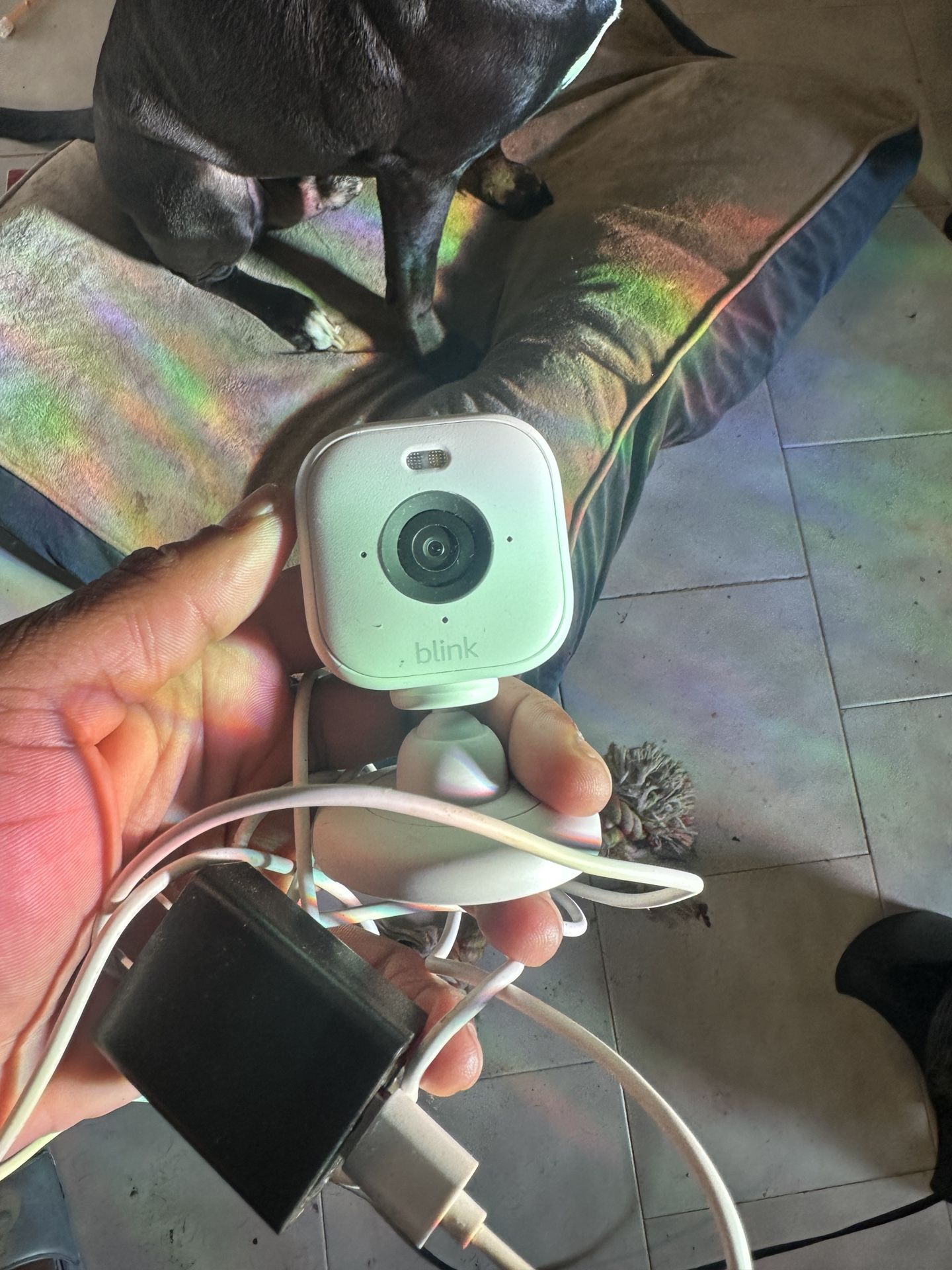 Blink Mini 2 (newest model) — Home Security & Pet Camera with HD video, color night view, motion detection, two-way audio, and built-in spotlight