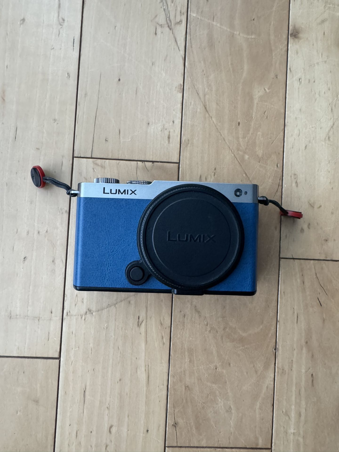 Rare Panasonic LUMIX S9