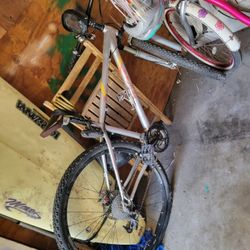 Jerry Fisher Mountain Bike