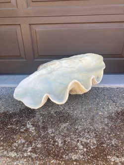 Cast clam shell