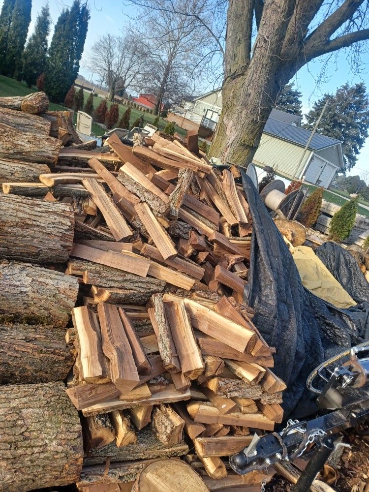 Firewood