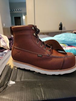 Irish Setter / Red Wing shoes