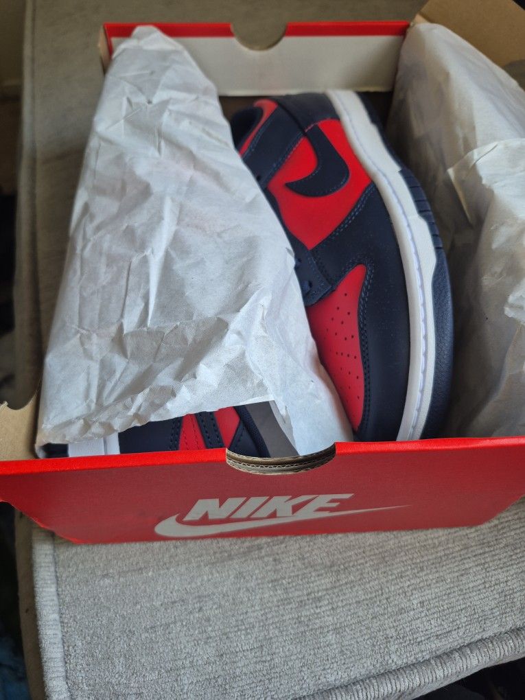 Nike DUNKS SZ 11 NEW