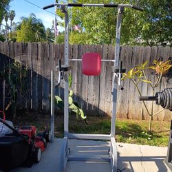 Pull Ups and Dip bar