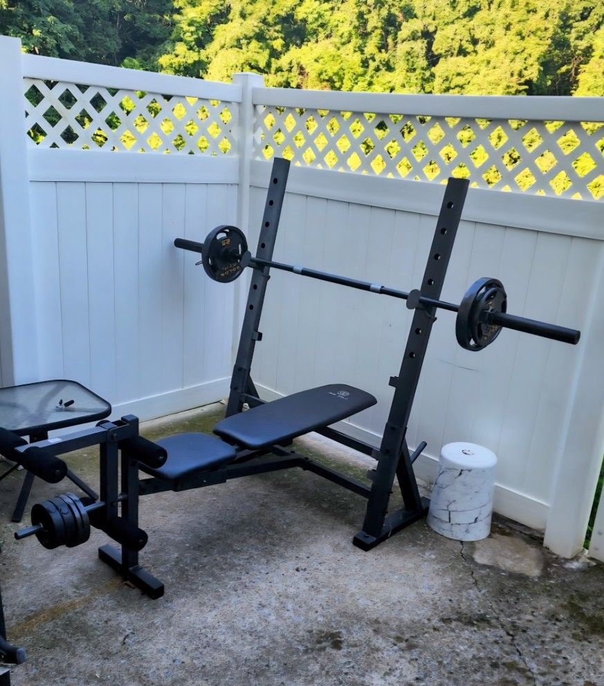 weight bench with 25, 10, 5, 2.5 weight plates