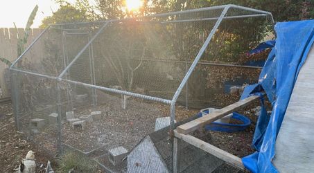 FREE Chicken Run Enclosure