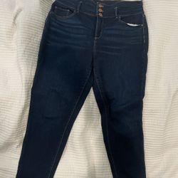 Ann Taylor Hight Rise Jeans (size 14)